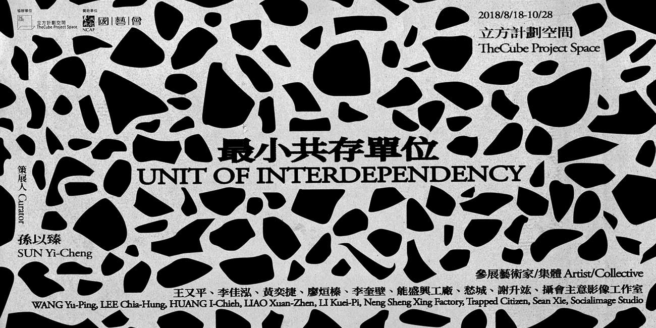 unit-of-interdependency