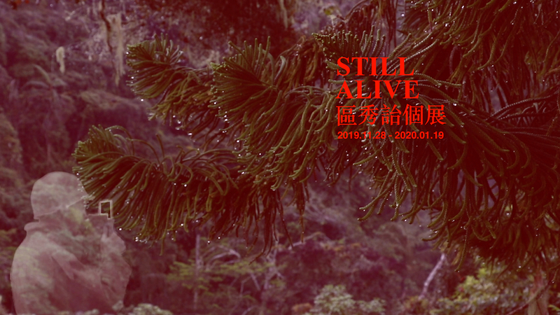 Still-Alive-秀詒個展