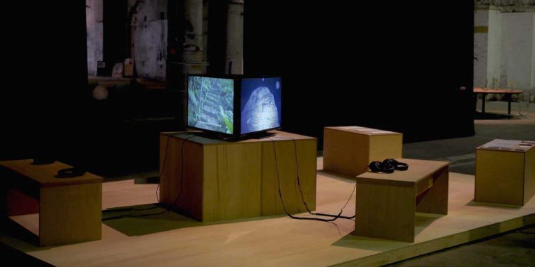 澎葉生和蔡宛璇——《獻給社群的三個短片》第20屆雪梨雙年展參展作品放映暨講座